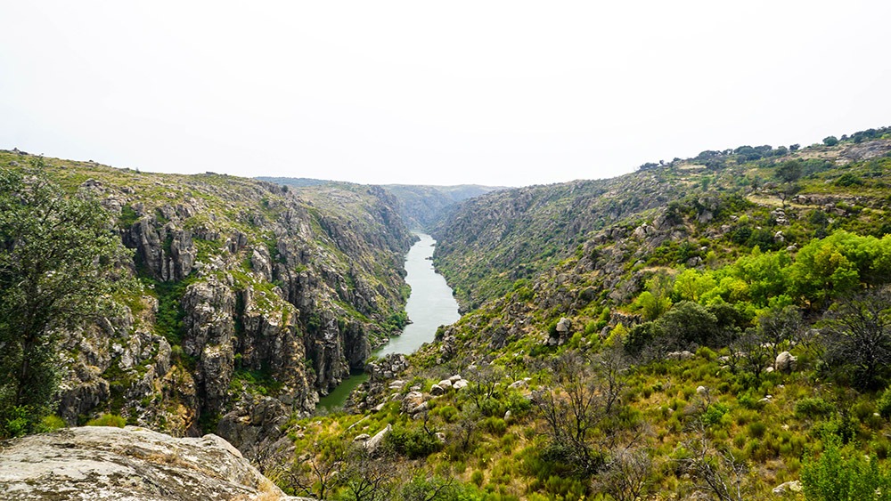 Долина реки Douro