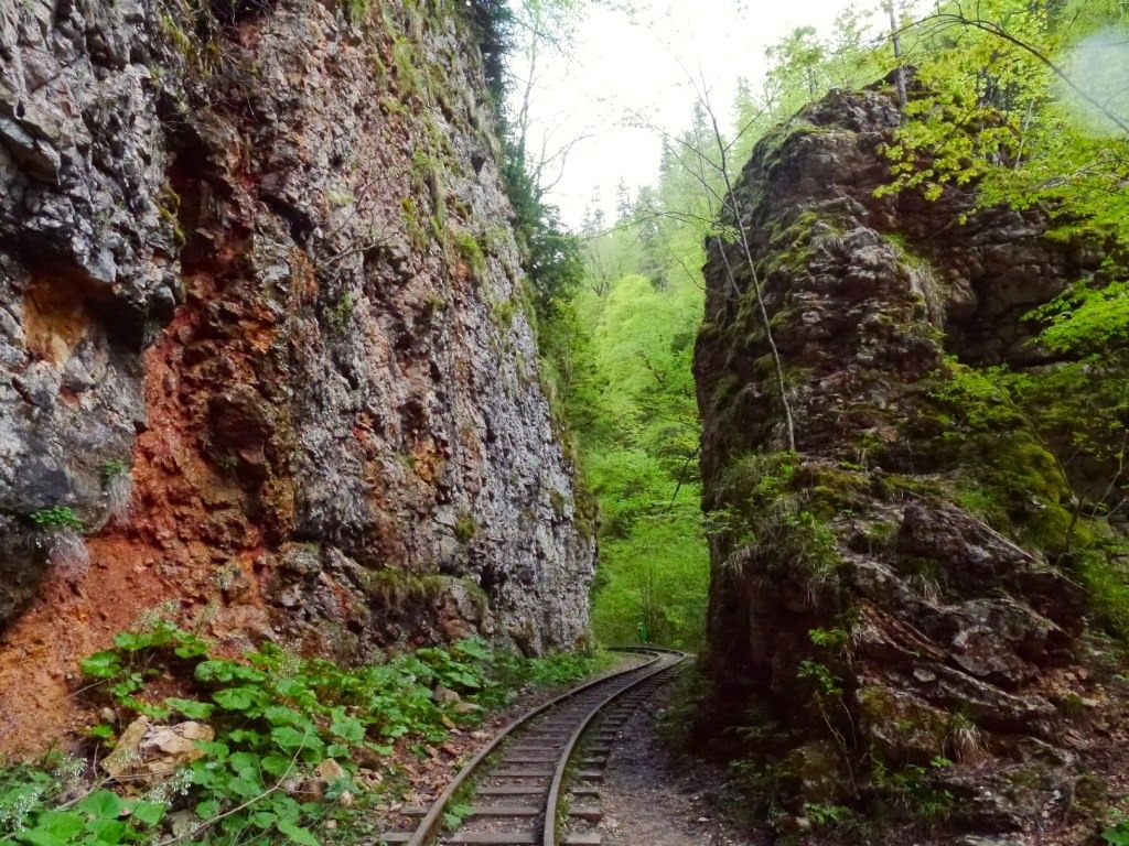 узкоколейка 